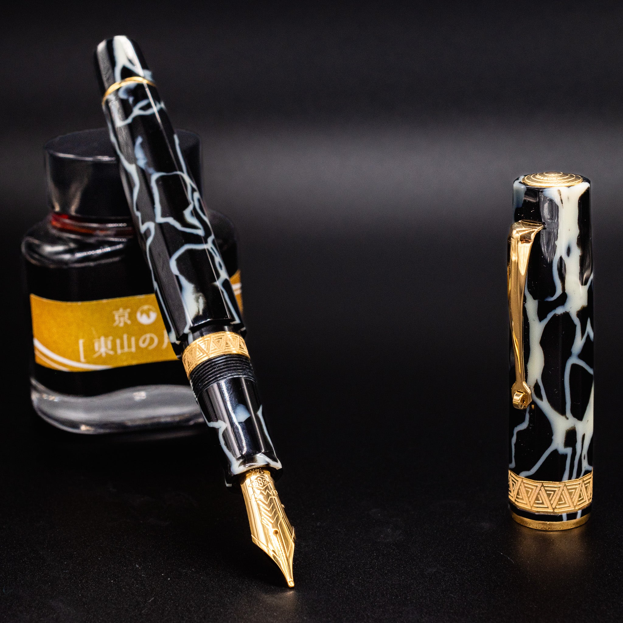 OMAS Paragon Wild Celluloid Gold Fountain Pen | 14k Nib – Truphae