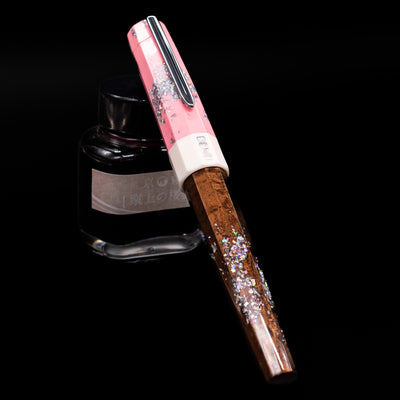 BENU Euphoria Neapolitan Ice Cream Fountain Pen - Preowned capped, leaning against an ink bottle. 