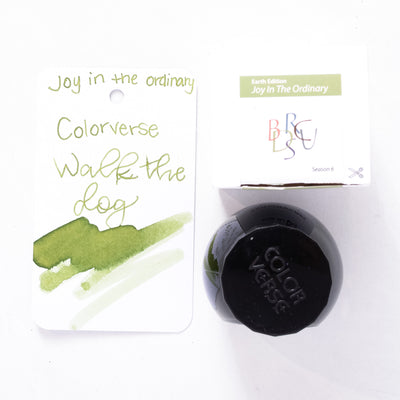 Colorverse Joy in the Ordinary Walk the Dog Ink Bottle 30ml