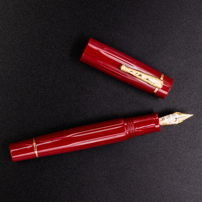 Delta Bio+16 Corallo Fountain Pen - Stainless Steel Nib new