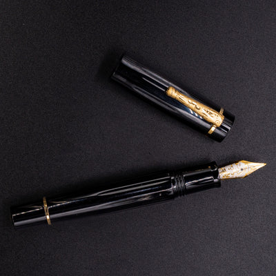  Delta Bio+16 Nera Fountain Pen - Stainless Steel Nib new