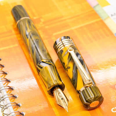 Delta Neo Gallery Fountain Pen - Marigold gold trim