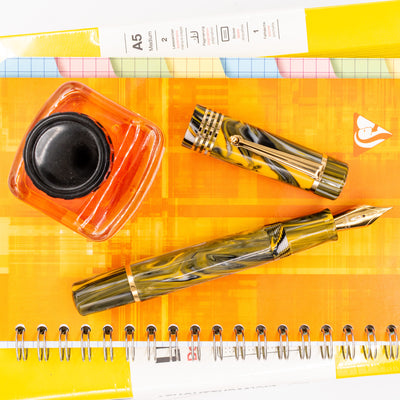 Delta Neo Gallery Fountain Pen - Marigold new