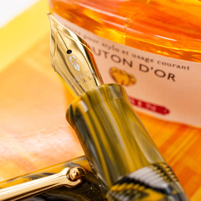 Delta Neo Gallery Fountain Pen - Marigold stainless steel nib