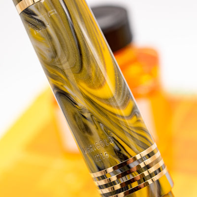 Delta Neo Gallery Fountain Pen - Marigold swirl