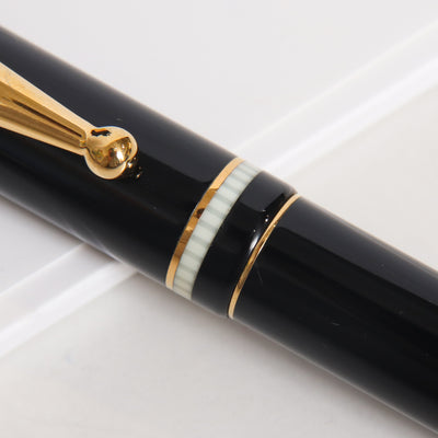 Delta Via Veneto Fountain Pen - Preowned Center Band