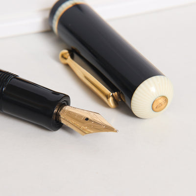 Delta Via Veneto Fountain Pen - Preowned Nib Details