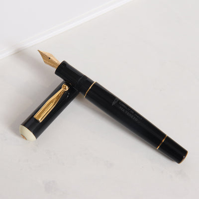 Delta Via Veneto Fountain Pen - Preowned