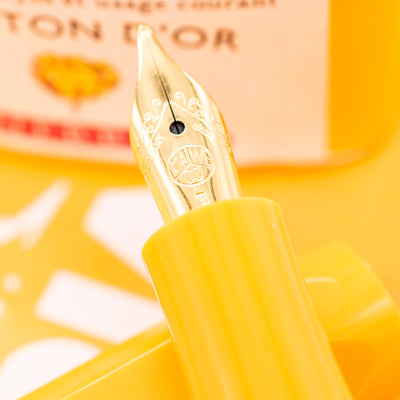 Kaweco Collector's Sport Fountain Pen - Honey stainless steel nib