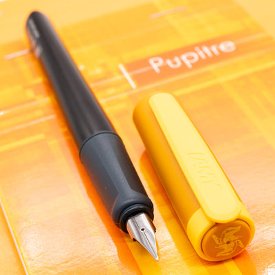 LAMY Nexx Harry Potter Fountain Pen - Hufflepuff 2025