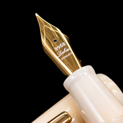  A macro shot of the nib with its intricate detailing and logo engraving for the Laban 326 Fountain Pen - Desert Mirage.