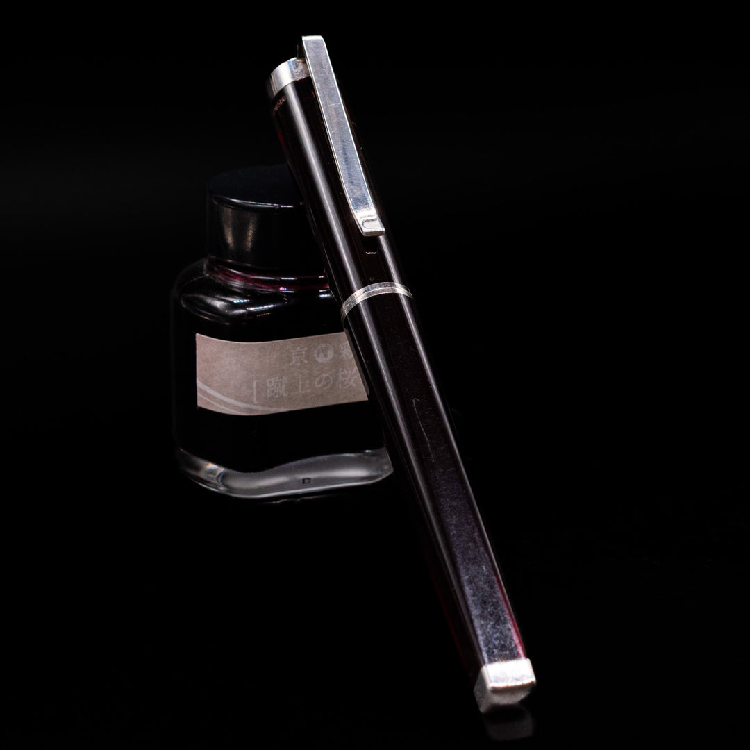 Montblanc Writer's Edition Franz Kafka Fountain Pen – Preowned