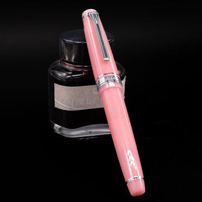 Nagasawa Original Standard Onomatopoeia Fountain Pen - Doki Doki