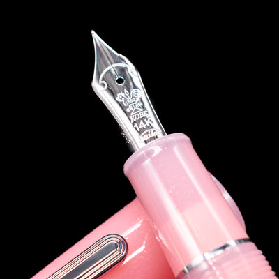  A macro shot of the nib with its intricate detailing and logo engraving for the Nagasawa Original Standard Onomatopoeia Fountain Pen - Doki Doki.