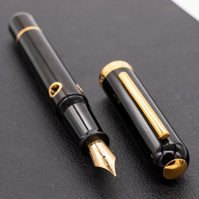 Nahvalur Nautilus Fountain Pen - Cephalopod Gold piston filled