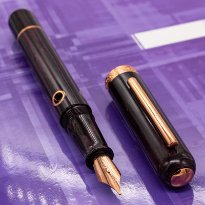 Nahvalur Nautilus Fountain Pen - Stylophora Berry purple
