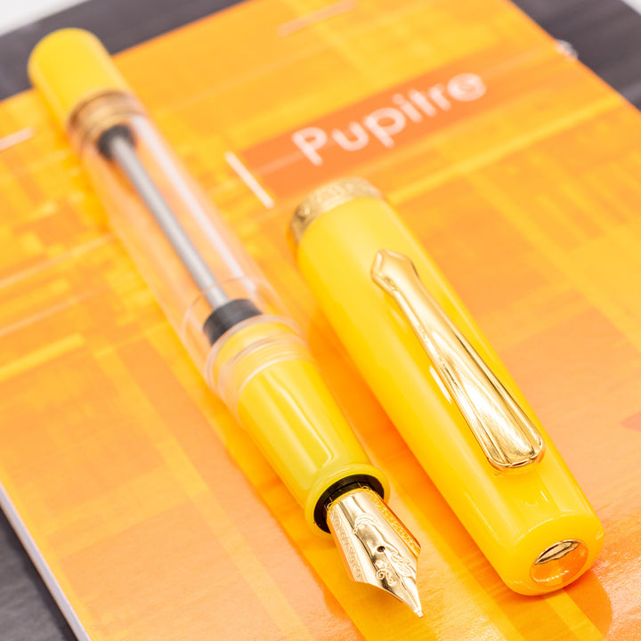 Stylo Plume Parker Duodolf Citrine - Neuf Sans Emballage Ni étiquette