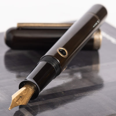 Narwhal Nautilus Bronze Corydoras Fountain Pen Uncapped