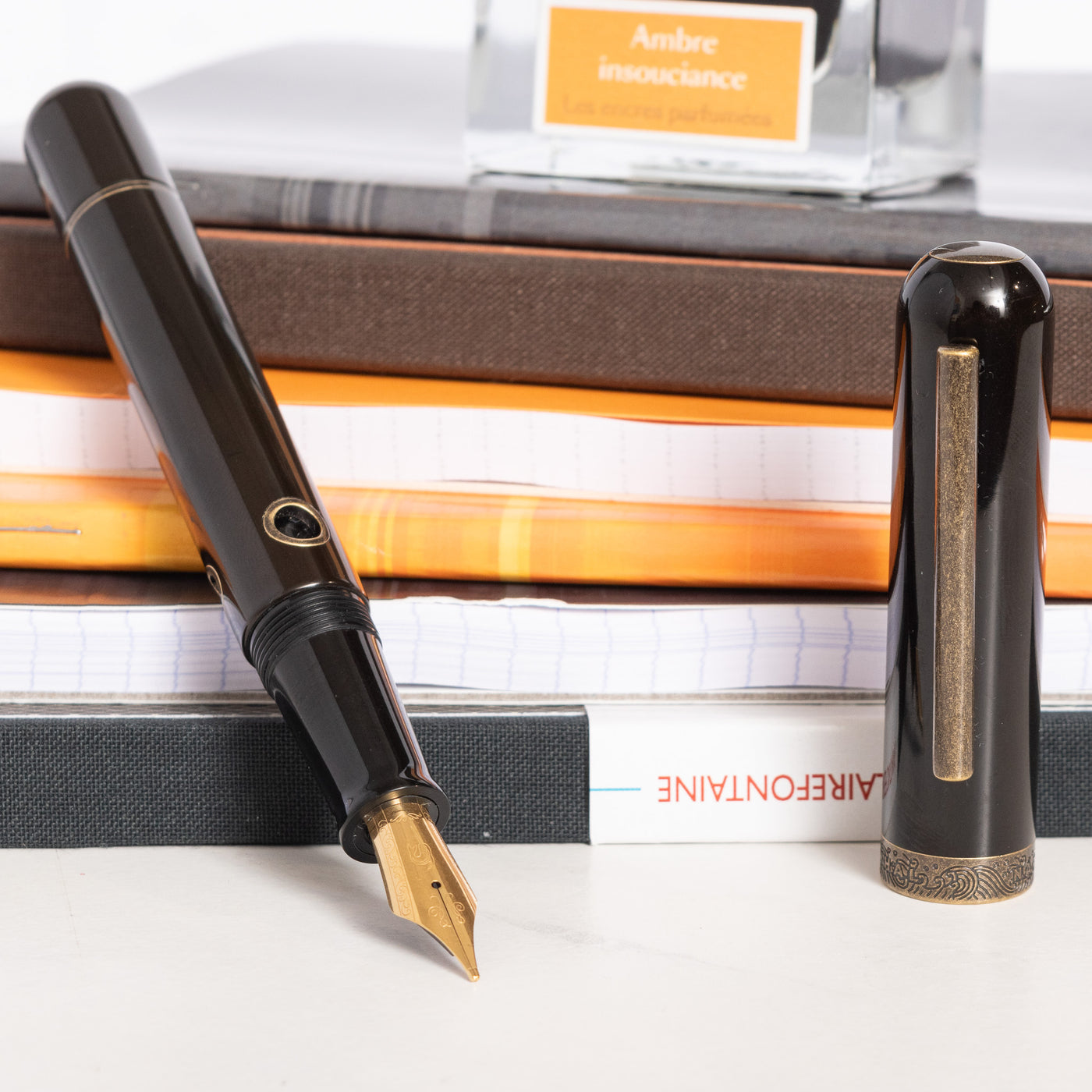 Narwhal Nautilus Bronze Corydoras Fountain Pen