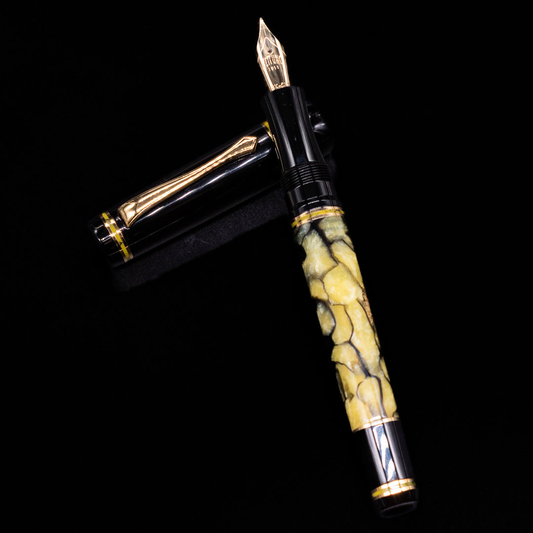 Nettuno Superba Celluloid Fountain Pen - Jade | 14k Nib – Truphae