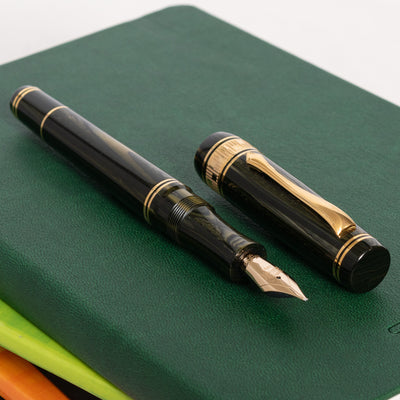 Nettuno Superba Emerald Celluloid Fountain Pen gold trim