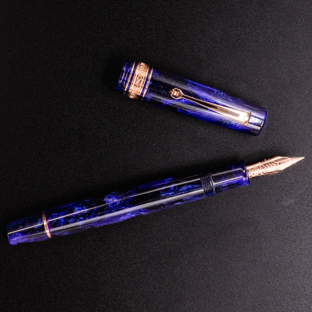 OMAS Bologna Fountain Pen - Deep Amethyst | 14k Nib – Truphae