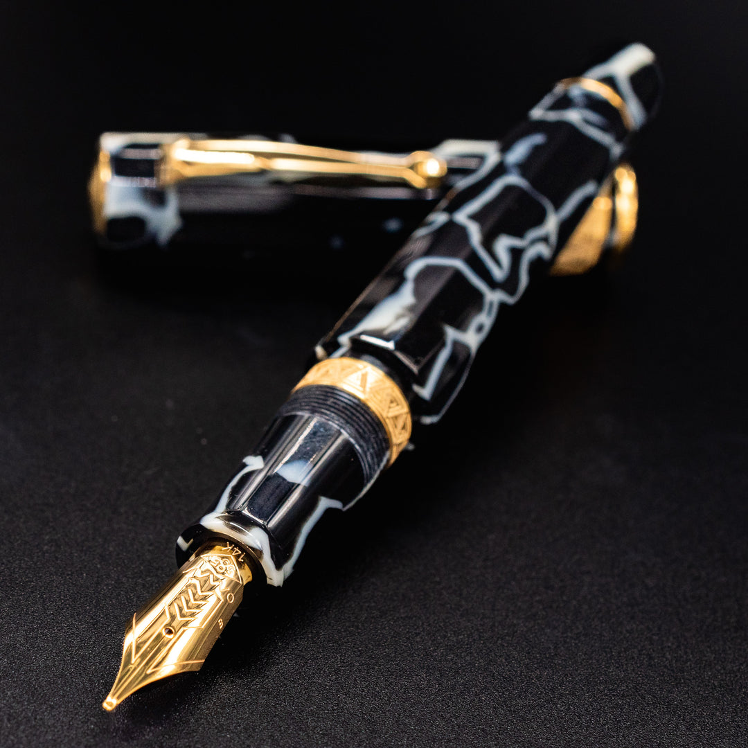 OMAS Paragon Wild Celluloid Gold Fountain Pen | 14k Nib – Truphae