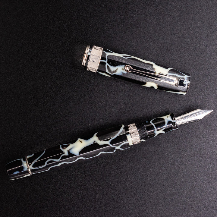 OMAS Paragon Fountain Pen - Wild Celluloid Silver – Truphae