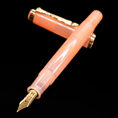 Pelikan Classic M200 Fountain Pen - Apricot Achat leaning on an ink bottle uncapped showcasing the detailing on the nib.