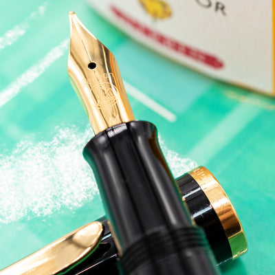 Pelikan Classic M200 Fountain Pen - Green Marble stainless steel nib