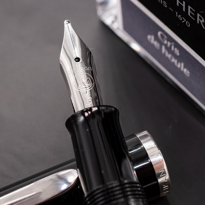 Pelikan Classic M205 Fountain Pen - Black stainless steel nib