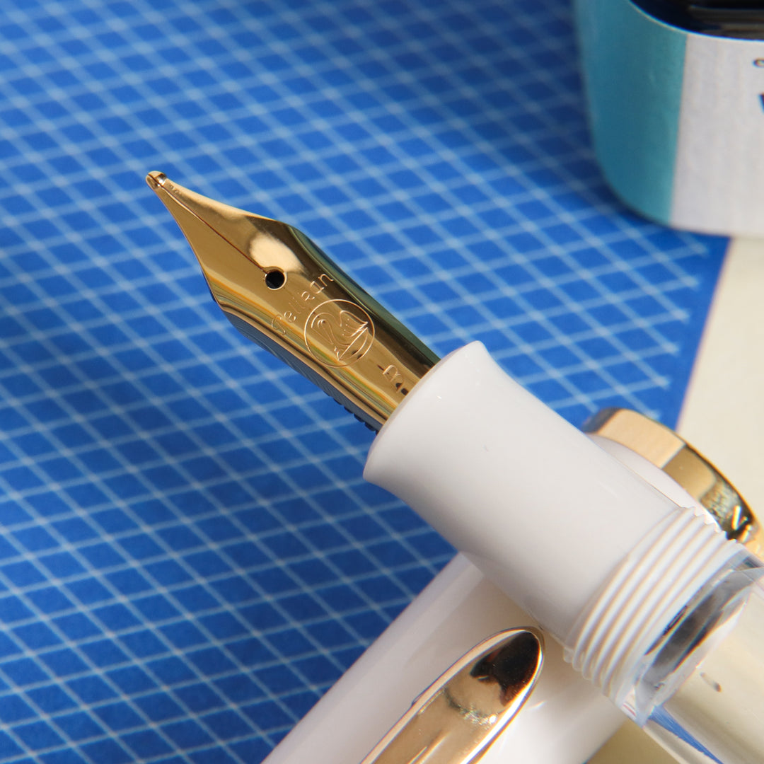 Pelikan Classic M200 Pastel Blue Piston-Fill Fountain Pen – Truphae
