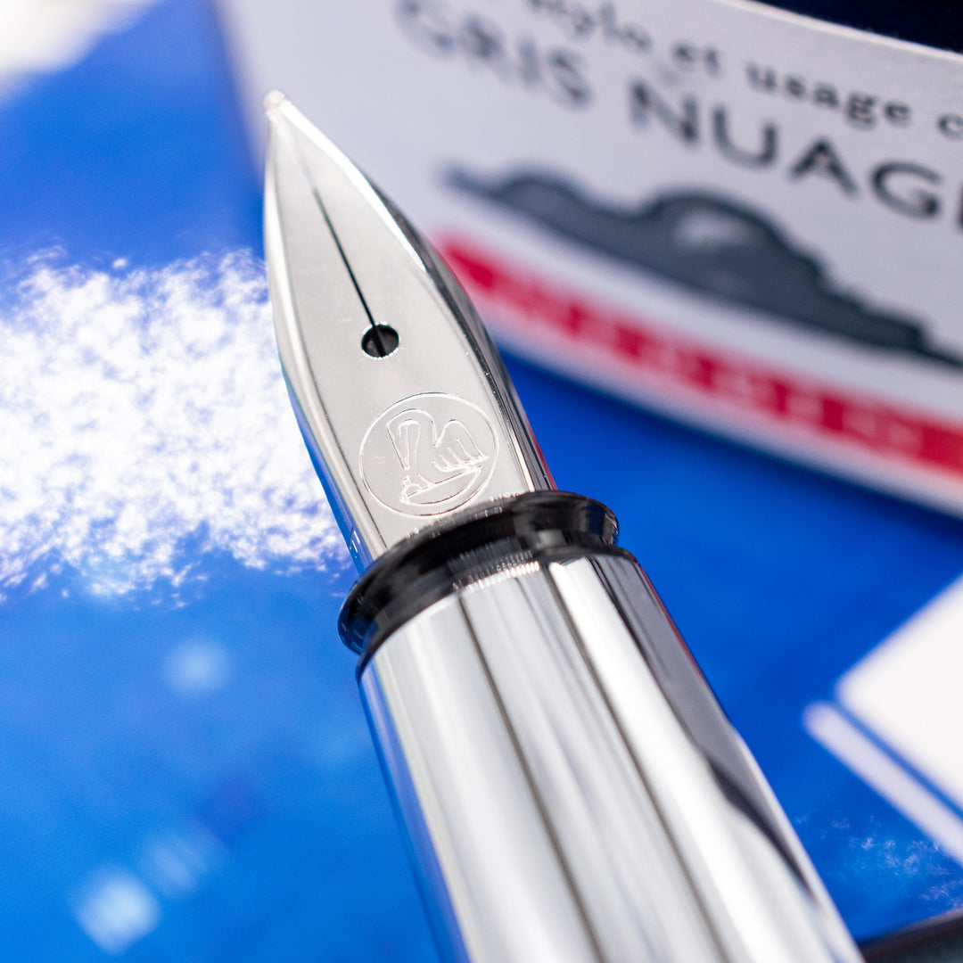 Pelikan Pura P40 Fountain Pen - Petrol – Truphae