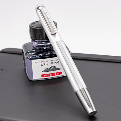 Pelikan Pura P40 Fountain Pen - Silver capped