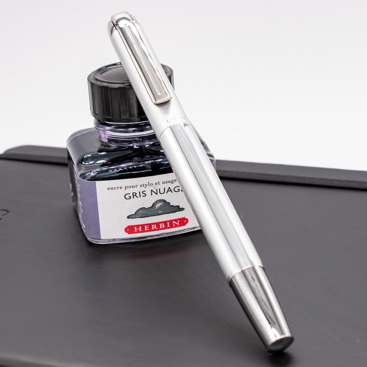 Pelikan Pura P40 Fountain Pen - Silver – Truphae
