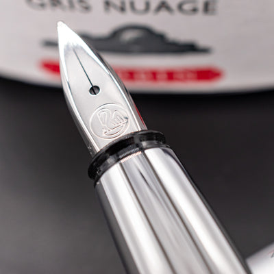 Pelikan Pura P40 Fountain Pen - Silver stainless steel nib