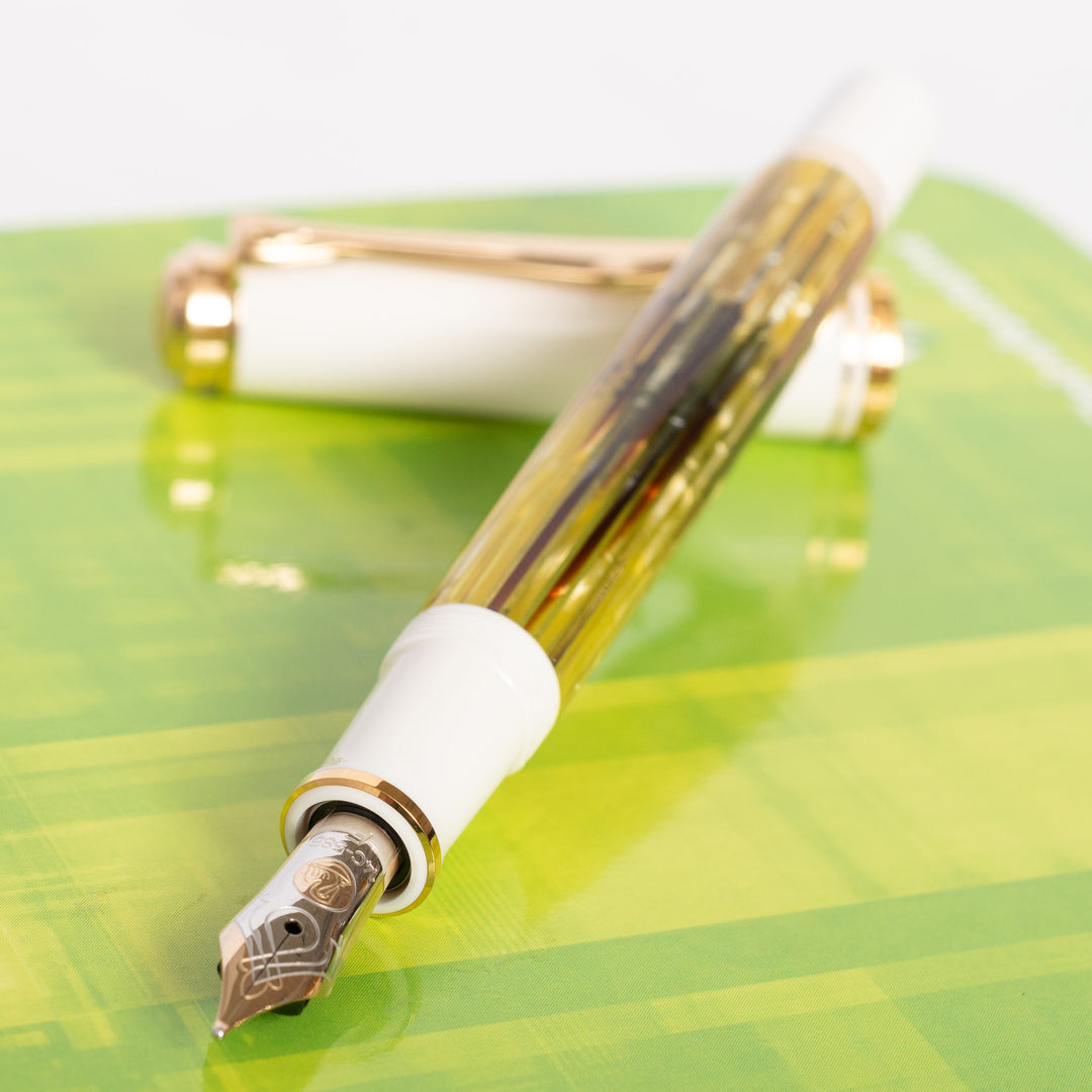 Pelikan Souveran M400 Tortoise Shell White Fountain Pen – Truphae