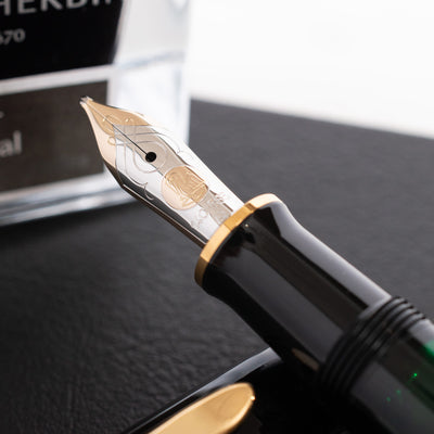 Pelikan Souveran M600 Black Fountain Pen 18k Gold Nib