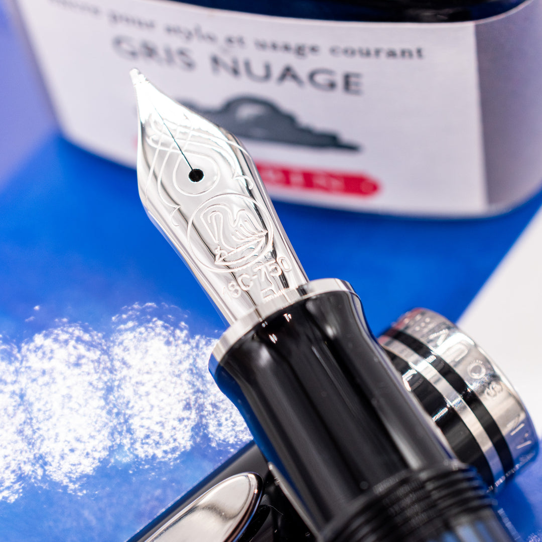 Pelikan Souveran M805 Fountain Pen - Blue Stripe – Truphae