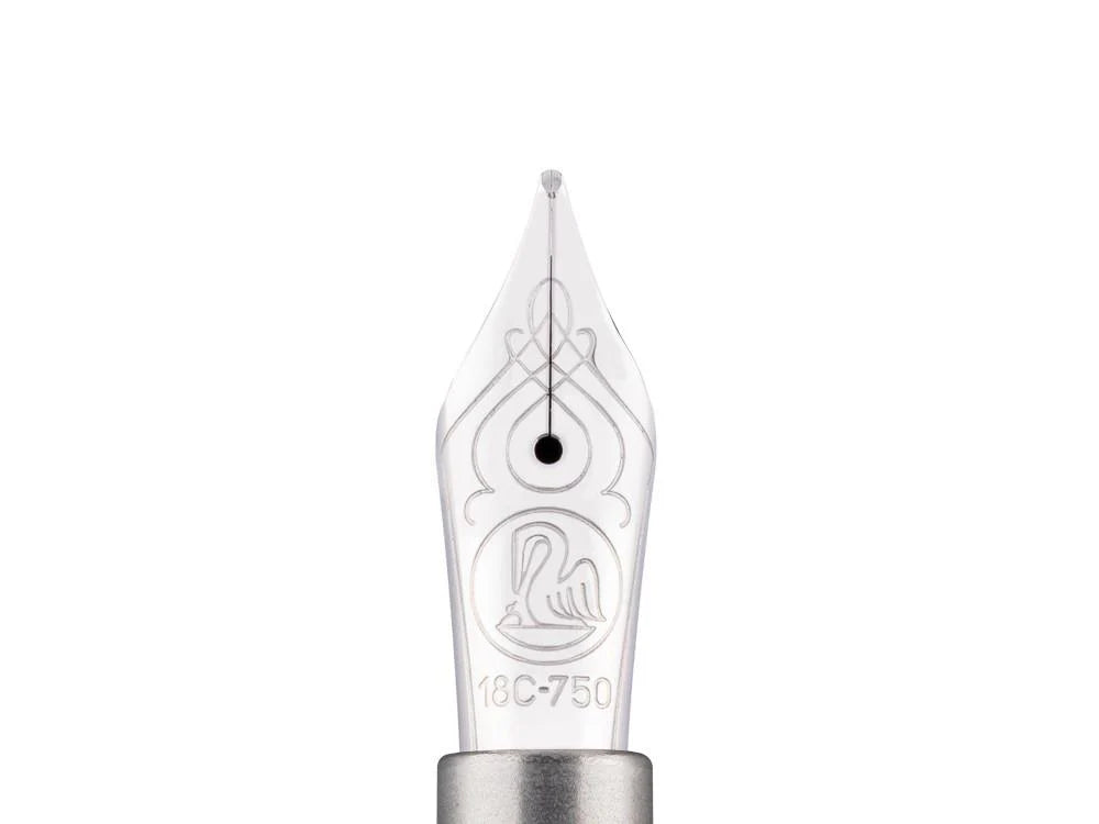 Fountain pen nib with decorative design on a white background