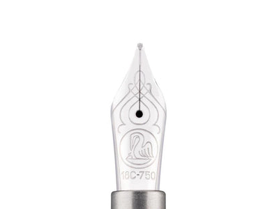 Fountain pen nib with decorative design on a white background