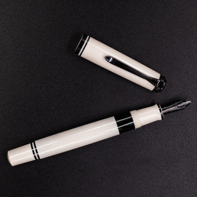 Pelikan Souveran M670 Fountain Pen - Warm Grey and black accents