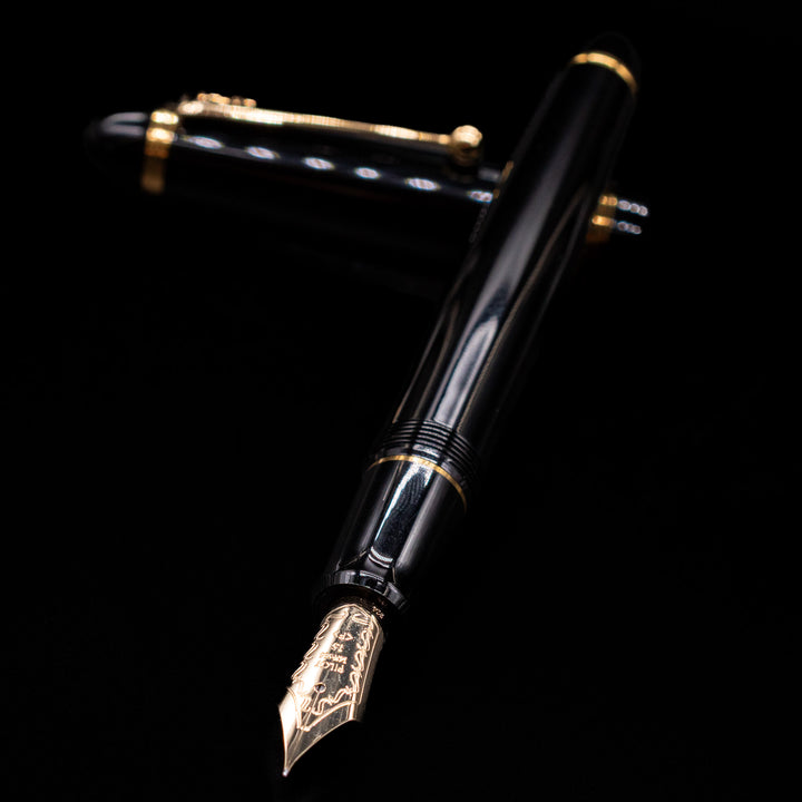 Pilot Custom 743 Fountain Pen - Black 14k Gold Nib – Truphae