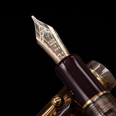  A macro shot of the nib with its intricate detailing and logo engraving for the Pilot Custom 823 Amber Fountain Pen.