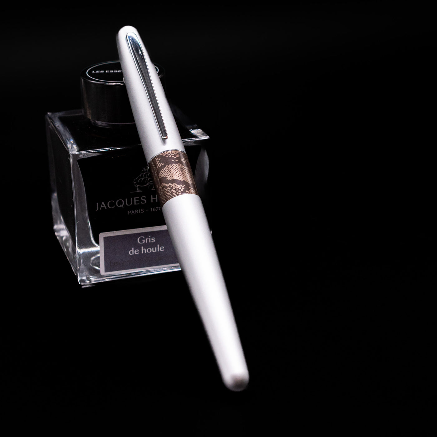 Pilot Metropolitan Fountain Pen - Python capped, leaning against an ink bottle. 