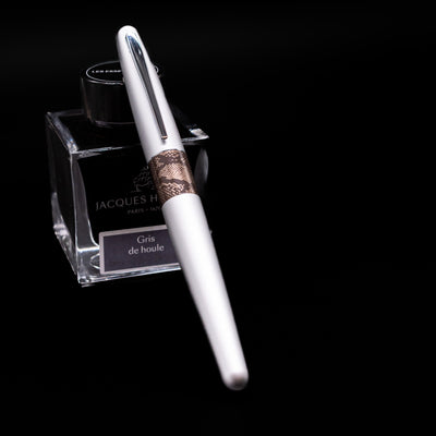 Pilot Metropolitan Fountain Pen - Python capped, leaning against an ink bottle. 
