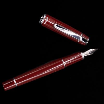 An overhead view of the Pilot Prera Fountain Pen - Cinnamon Brown uncapped.