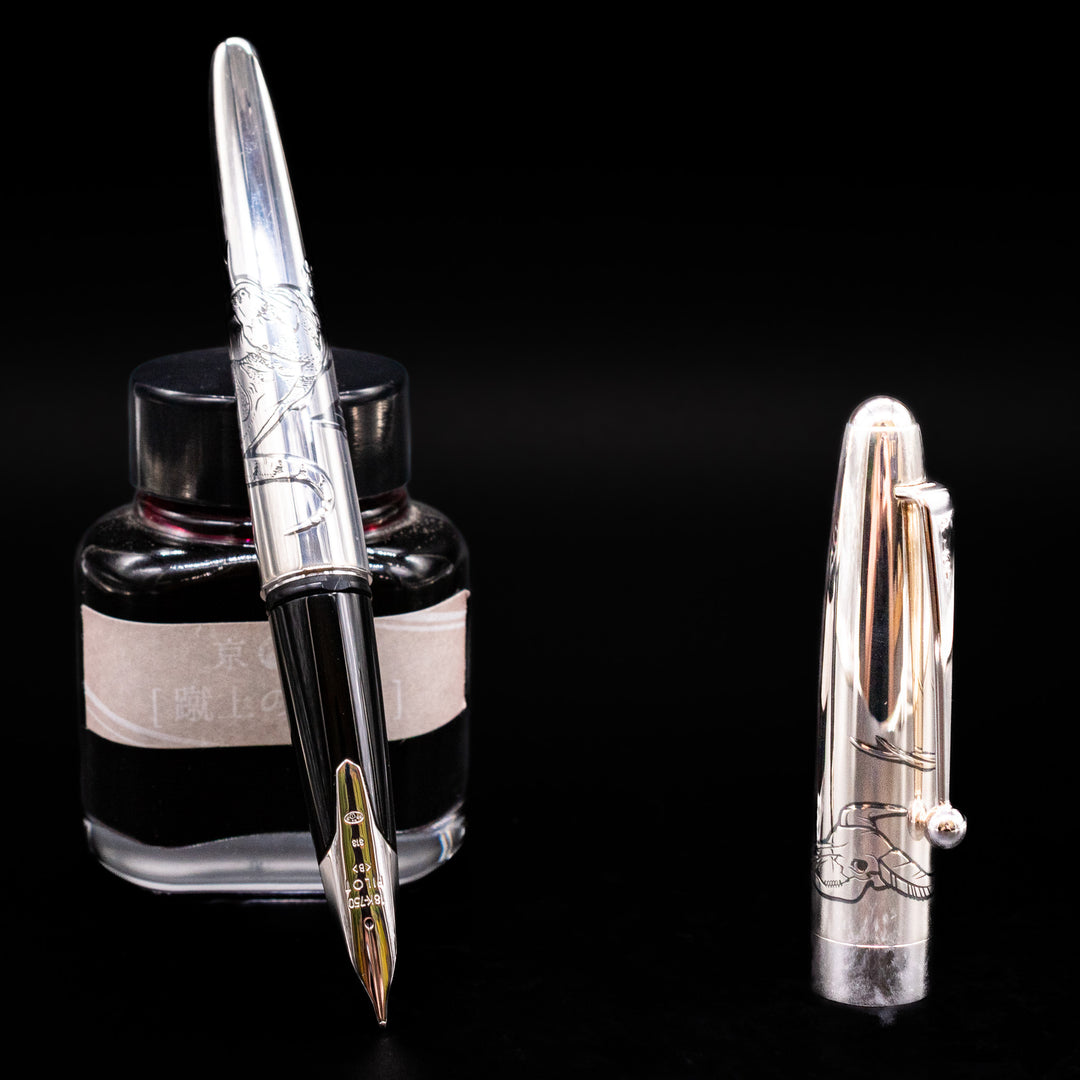 Pilot Sterling Silver Komodo Dragon Fountain Pen | 18k Nib – Truphae