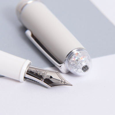 Platinum 3776 Century Shape of Heart Ivoire Fountain Pen Nib Details