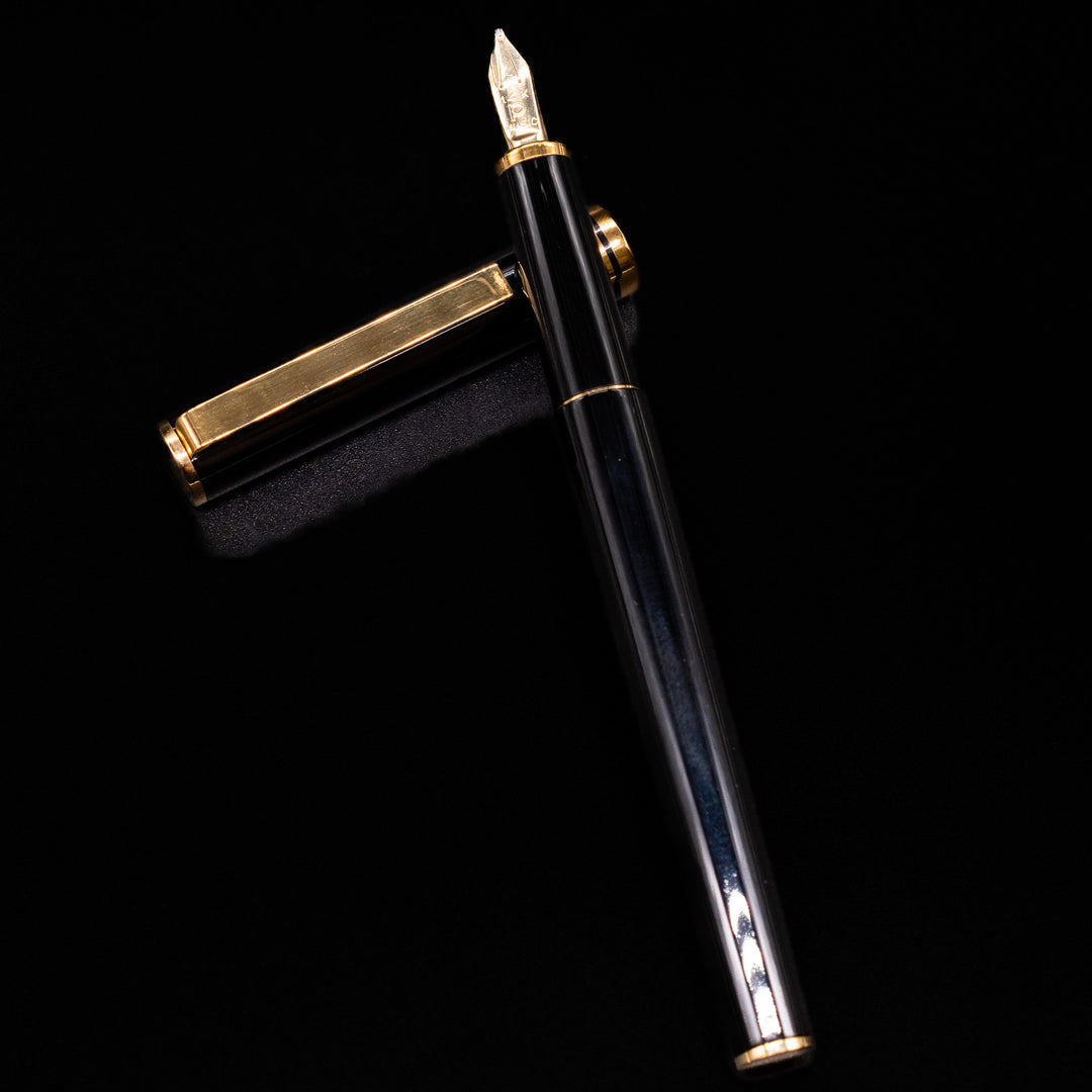 Platinum Belage Fountain Pen - Black & Gold – Truphae